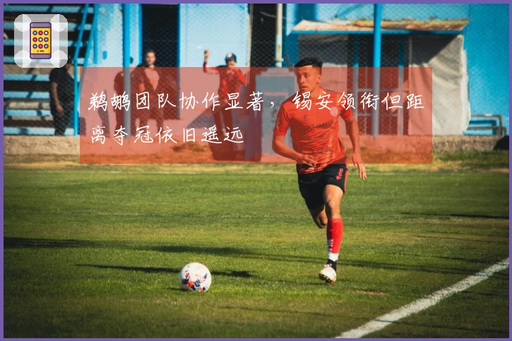 鹈鹕团队协作显著，锡安领衔但距离夺冠依旧遥远