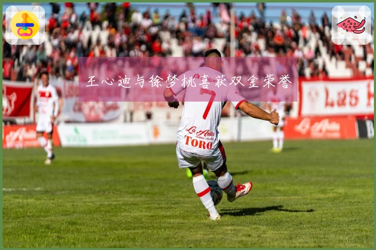 王心迪与徐梦桃喜获双金荣誉