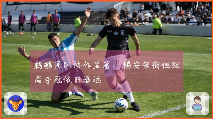 鹈鹕团队协作显著，锡安领衔但距离夺冠依旧遥远