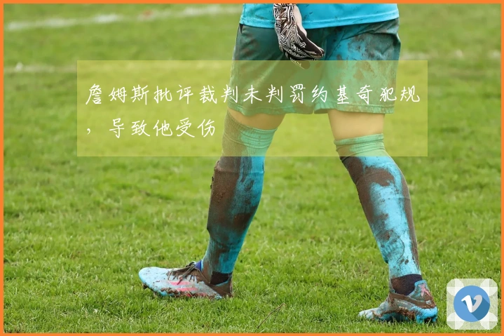 詹姆斯批评裁判未判罚约基奇犯规，导致他受伤