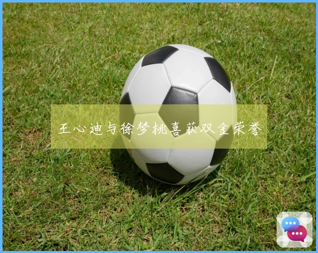 王心迪与徐梦桃喜获双金荣誉